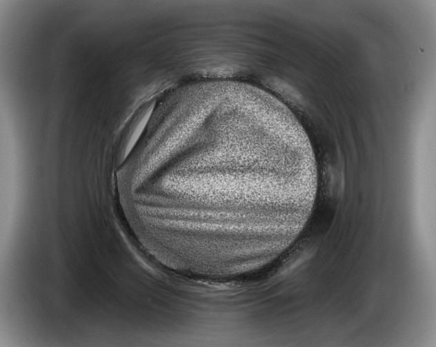 X0000084030638200703092011