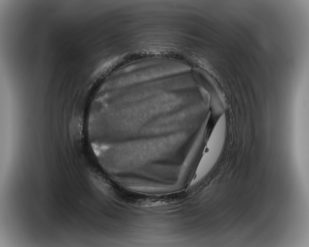 X0000084030640200703092011