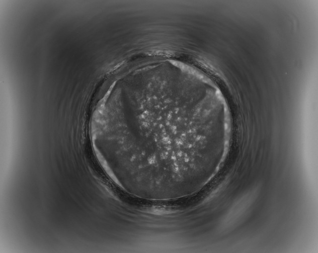 X0000084030641200703092011