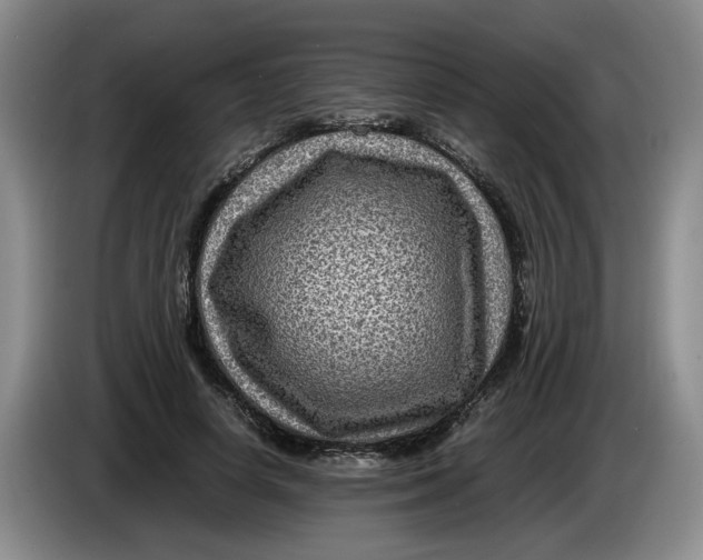 X0000084030642200703092011