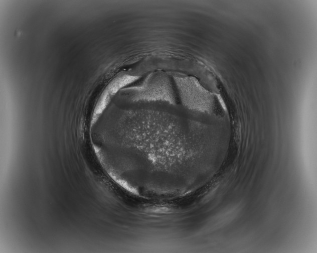 X0000084030643200703092011