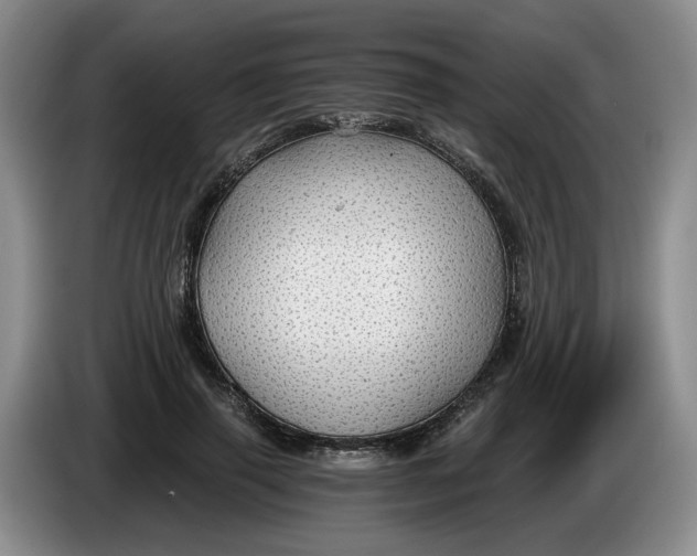 X0000084030645200703092011