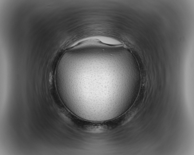 X0000084030646200703092011