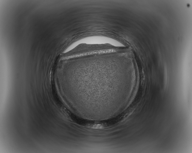 X0000084030647200703092011