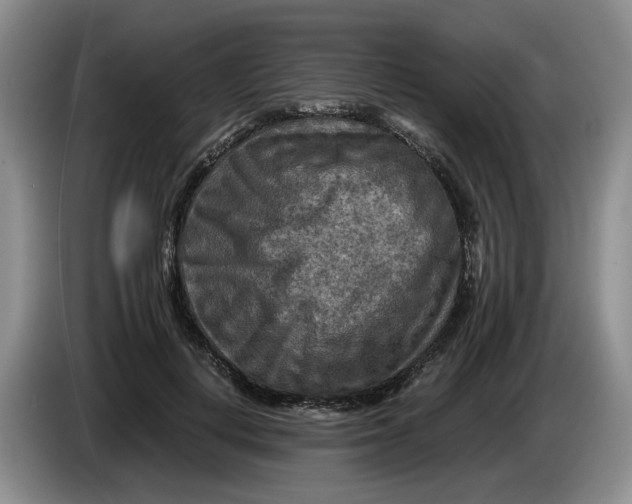 X0000084030648200703092011