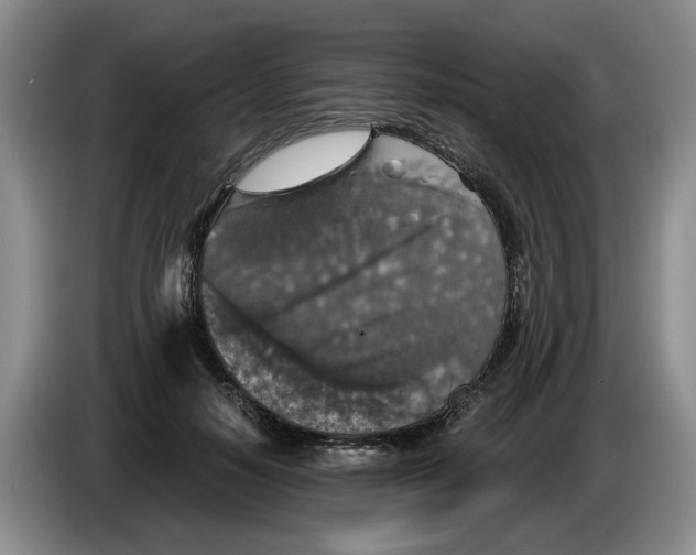 X0000084030650200703092011