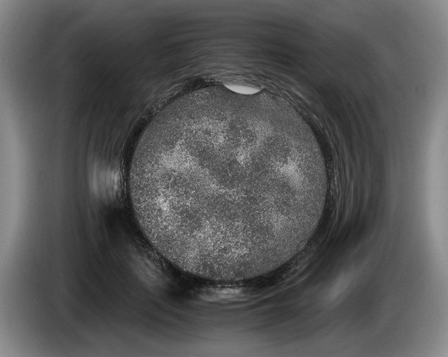 X0000084030651200703092011