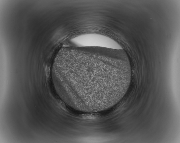 X0000084030652200703092011