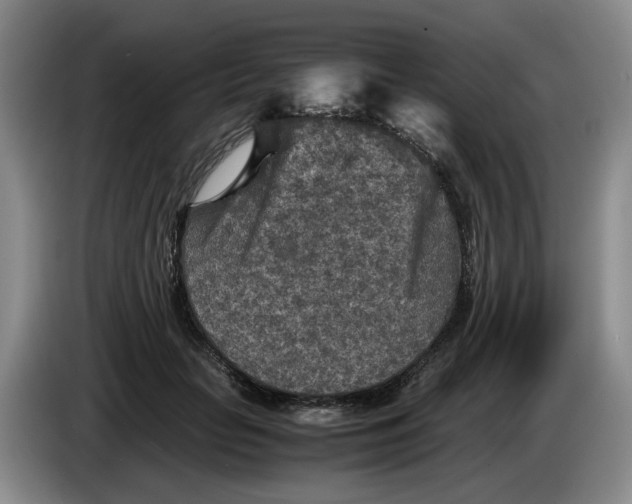 X0000084030653200703092011