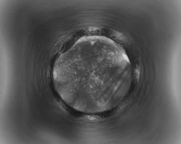 X0000084030654200703092011