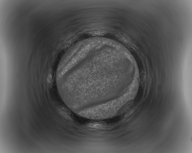 X0000084030655200703092011