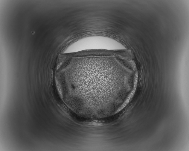 X0000084030656200703092011