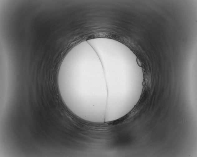 X0000084030660200703092011