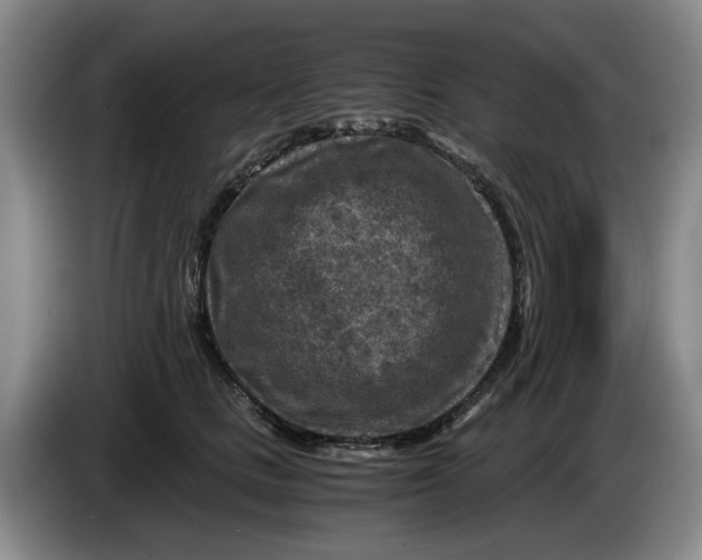 X0000084030661200703092011