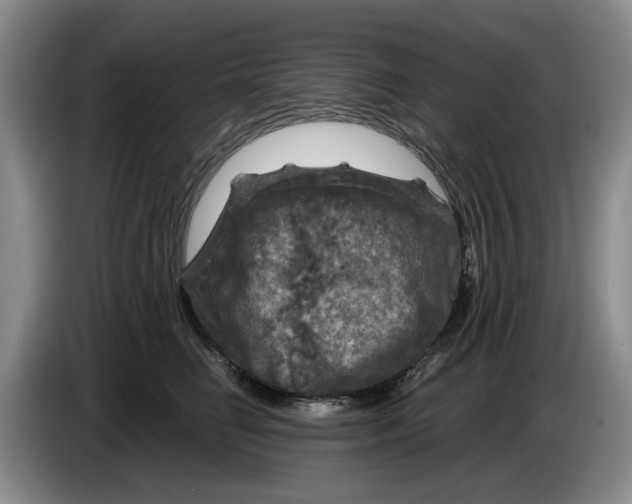 X0000084030662200703092011