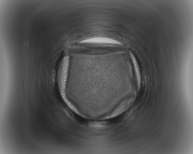 X0000084030664200703092011