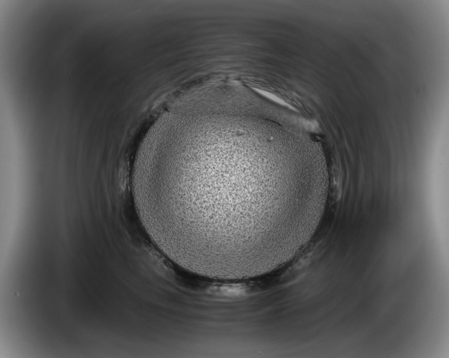 X0000084030665200703092011