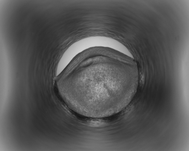 X0000084030666200703092011