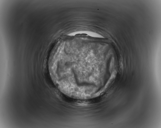 X0000084030667200703092011