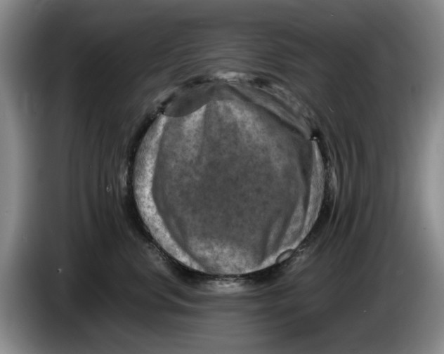 X0000084030668200703092011