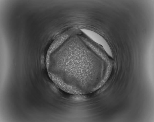 X0000084030670200703092011