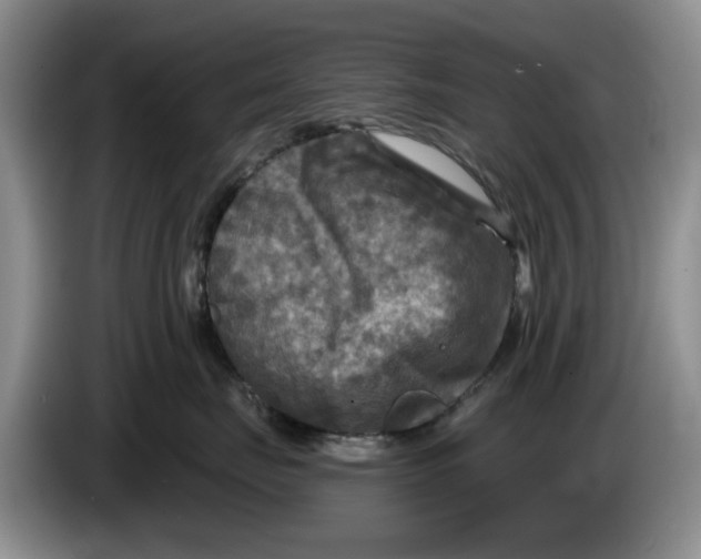 X0000084030671200703092011