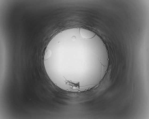 X0000084030672200703092011