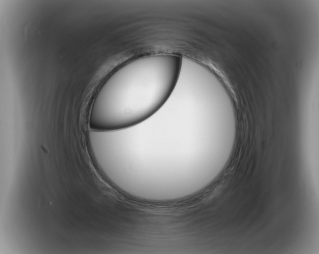 X0000084030673200703092011