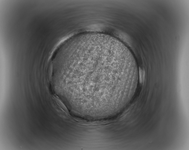 X0000084030675200703092011