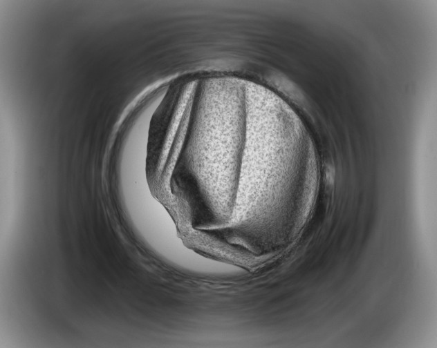 X0000084030676200703092011