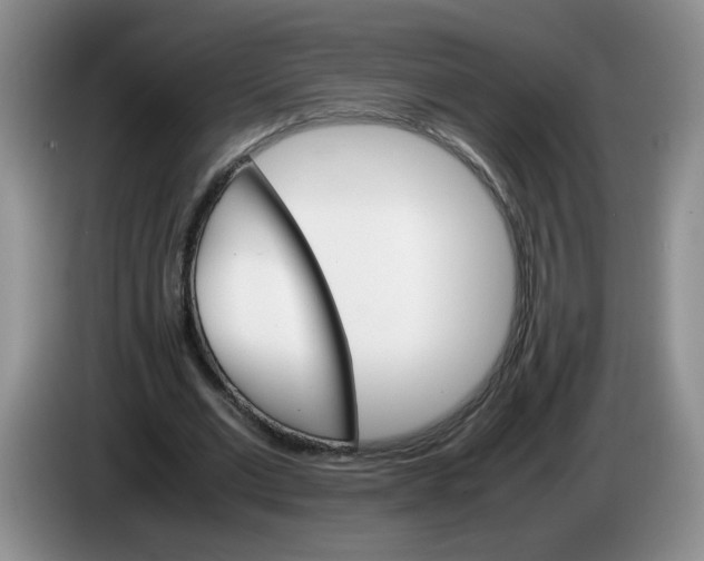 X0000084030677200703092011