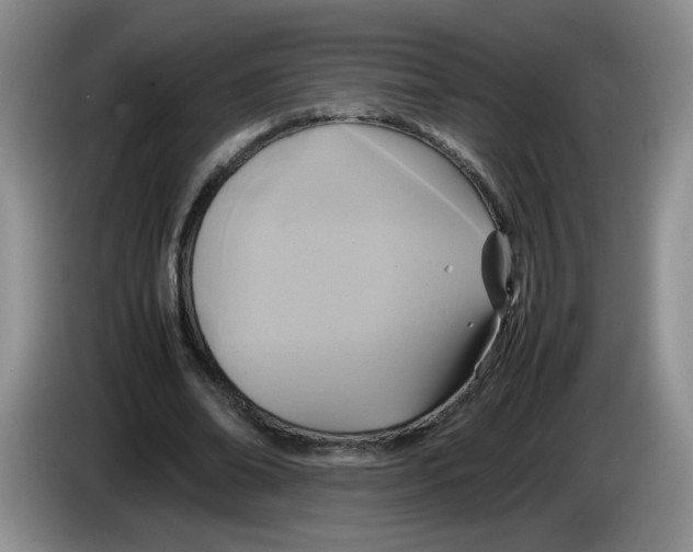 X0000084030678200703092011