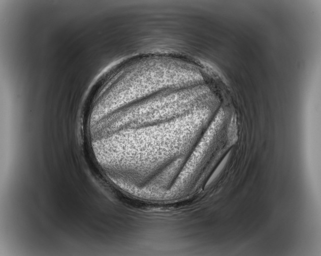 X0000084030680200703092011