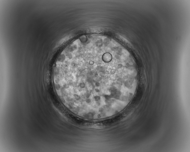 X0000084030683200703092011