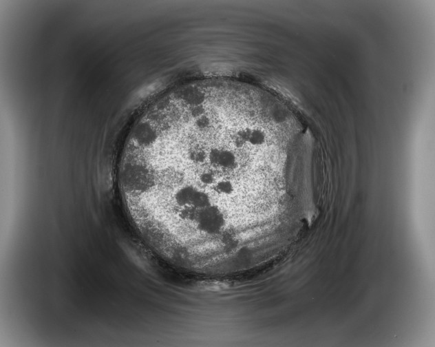 X0000084030687200703092010