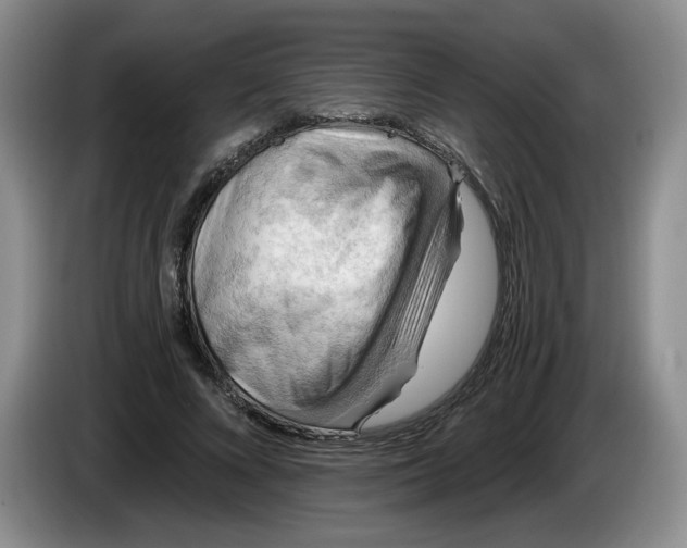 X0000084030688200703092010