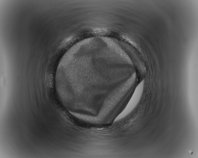 X0000084030689200703092010