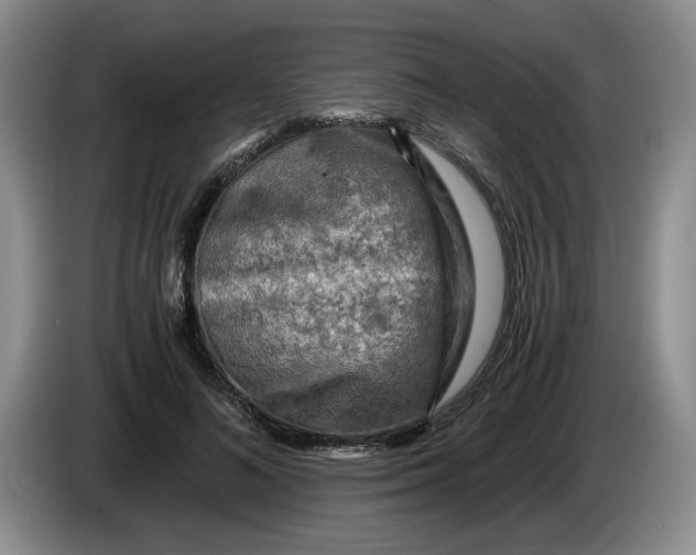 X0000084030692200703092010