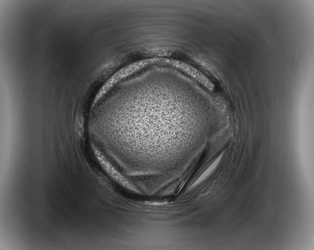 X0000084030693200703092010