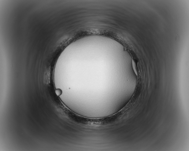 X0000084030694200703092010