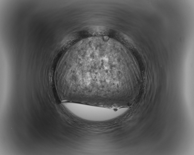 X0000084030695200703092010