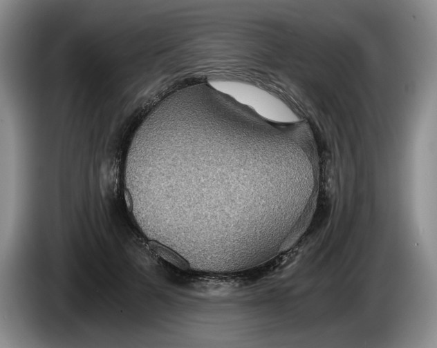 X0000084030697200703092010