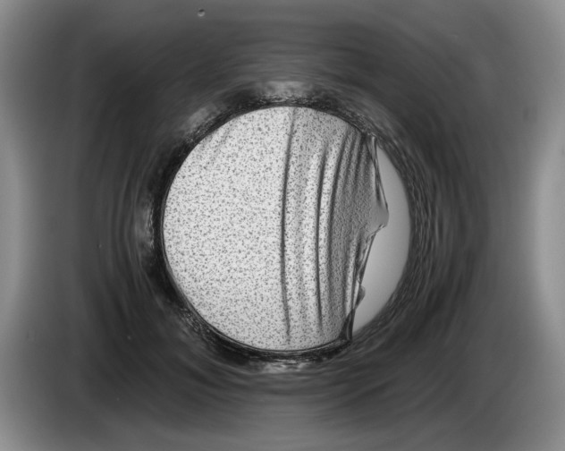 X0000084030700200703092010