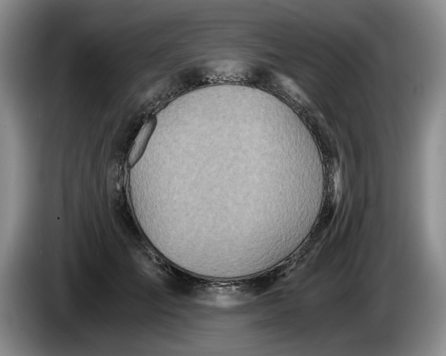 X0000084030701200703092010