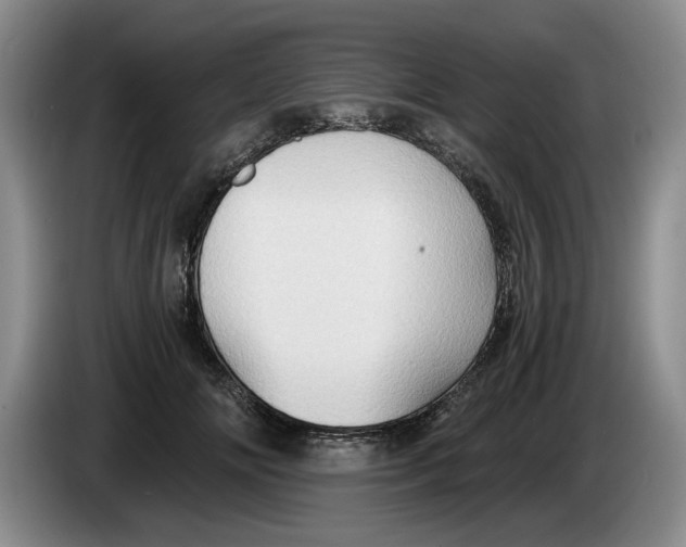 X0000084030702200703092010