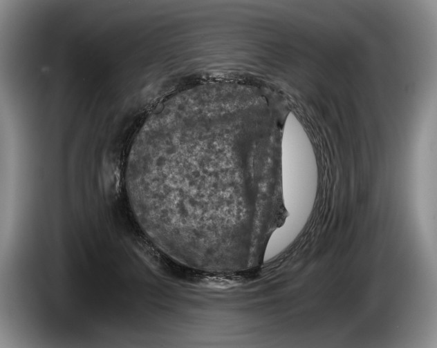 X0000084030703200703092010