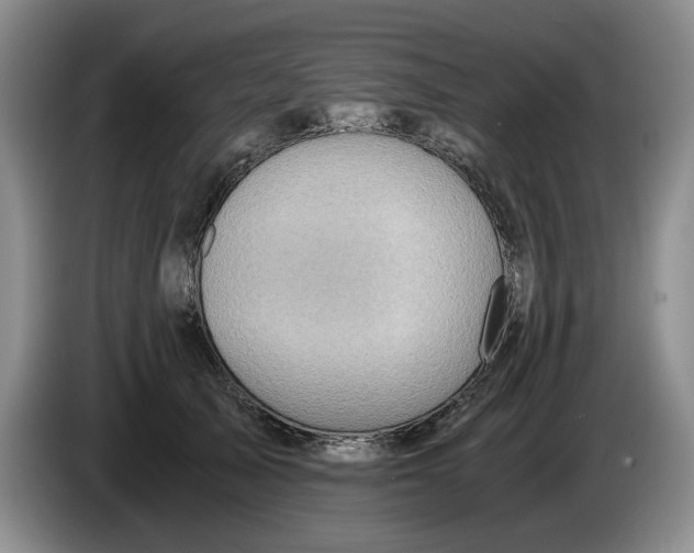 X0000084030705200703092010