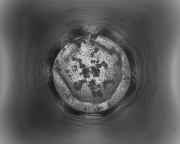 X0000084030707200703092010