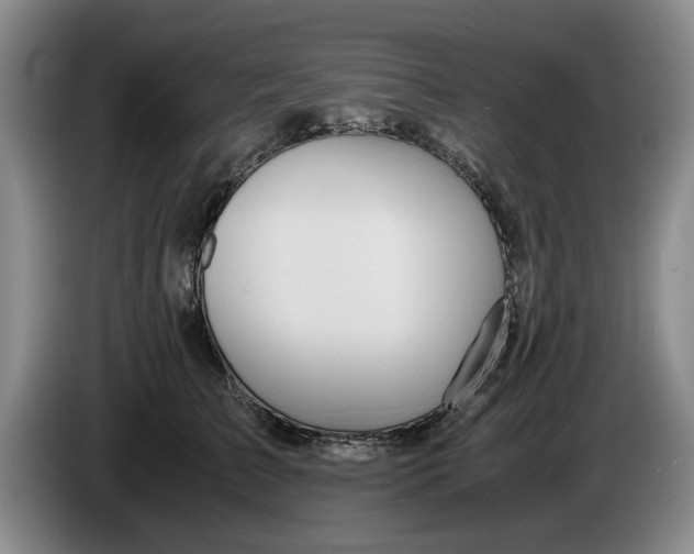 X0000084030709200703092010