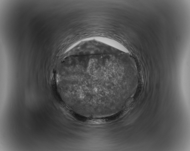 X0000084030711200703092010